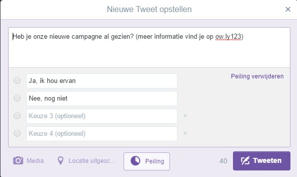 Twitter Polls