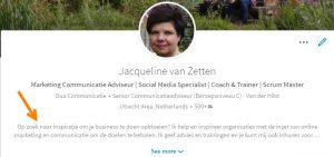 LinkedIn Samenvatting