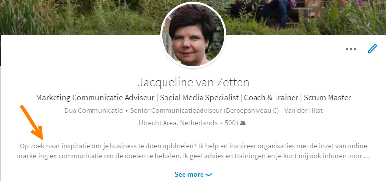 LinkedIn Samenvatting